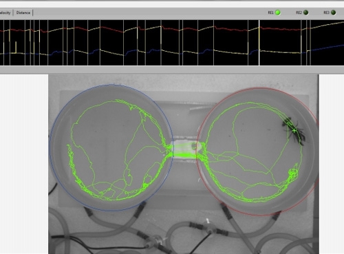 穿梭池動物喜好度觀測系統(tǒng)