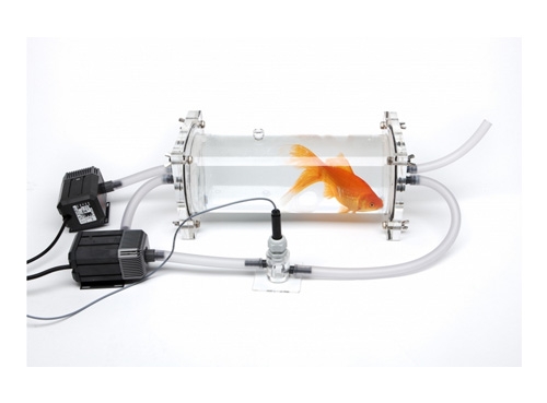 魚(yú)類(lèi)及水生無(wú)脊椎動(dòng)物呼吸代謝測(cè)量系統(tǒng)