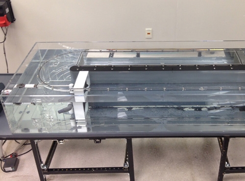 魚(yú)類(lèi)與水生生物游泳能力、呼吸代謝測(cè)量?jī)x