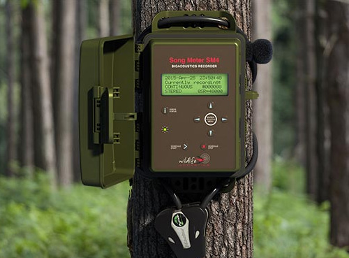 聲音記錄儀鳥(niǎo)類(lèi)動(dòng)物鳴聲自動(dòng)記錄儀Song Meter SM4