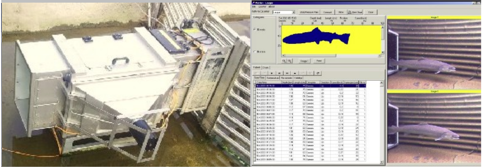 1772083685459078.png 996fefb1-e9bb-4b8b-958b-932501b8a829.png